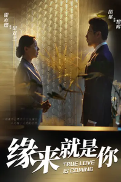 缘来就是你64集