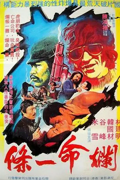 烂命一条