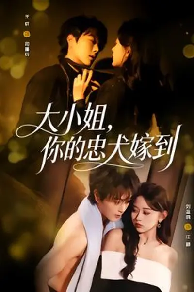 大小姐,你的忠犬嫁到