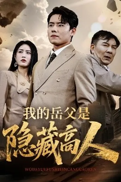 我的岳父是隐藏高人