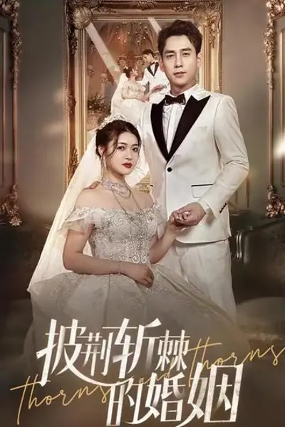 新版：披荆斩棘的婚姻