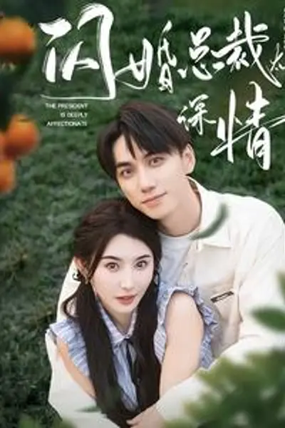 闪婚总裁太深情
