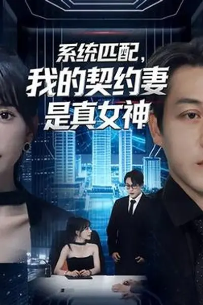 系统匹配,我的契约妻是真女神