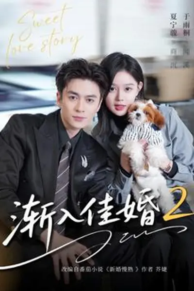 渐入佳婚2
