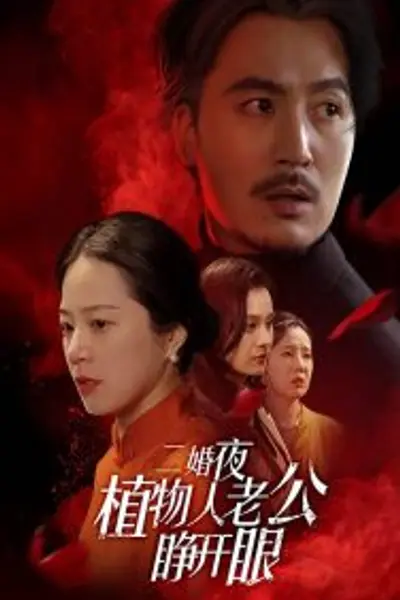 二婚夜植物人老公睁开眼