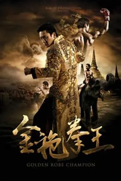 金袍拳王