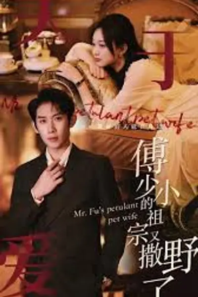 傅少的小祖宗又撒野了