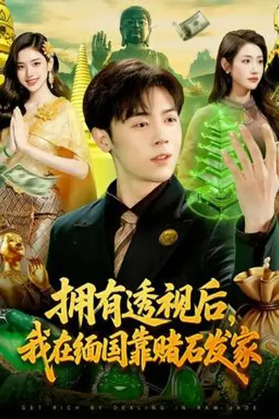 拥有透视后,我在缅国靠赌石发家