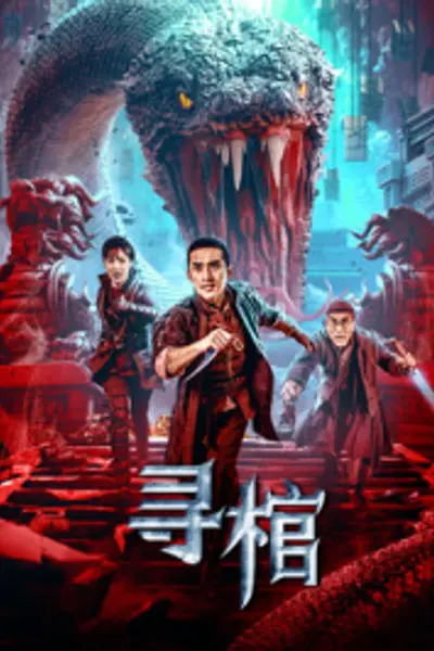 寻棺