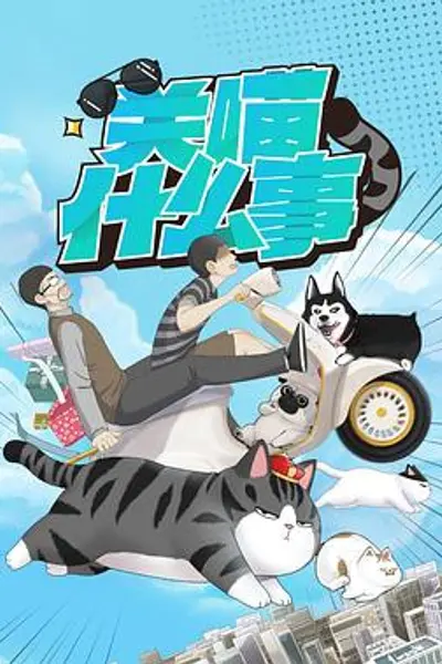 关喵什么事