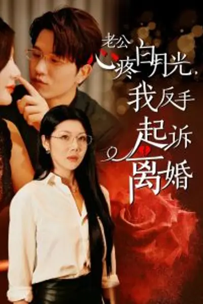 老公疼白月光我反手起诉离