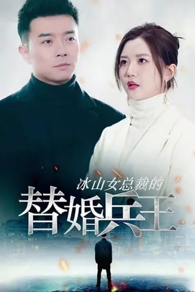 冰山总裁的替婚兵王