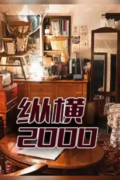 纵横2000