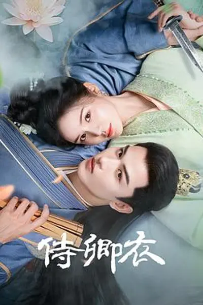 侍卿衣