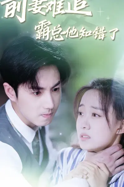 前妻难追，霸总他知错了