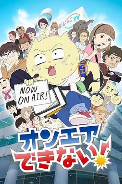 不能播放