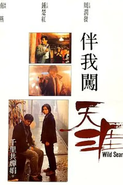 伴我闯天涯