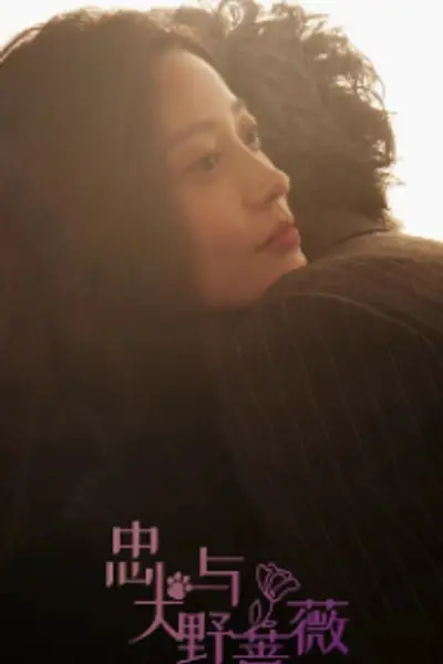 忠犬与野蔷薇
