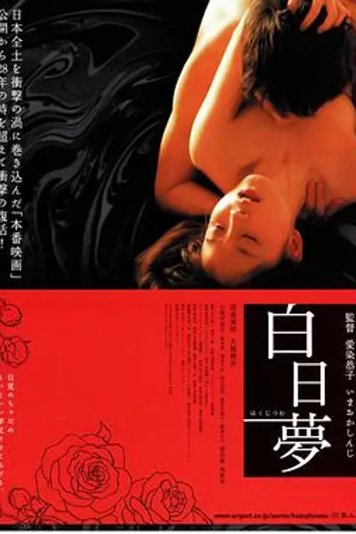 白日梦