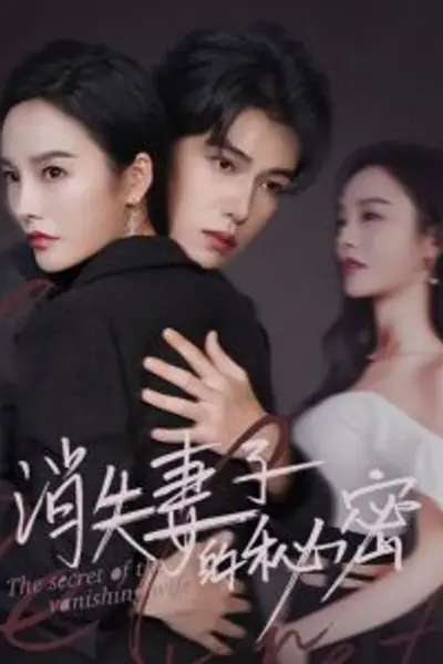 消失妻子的秘密