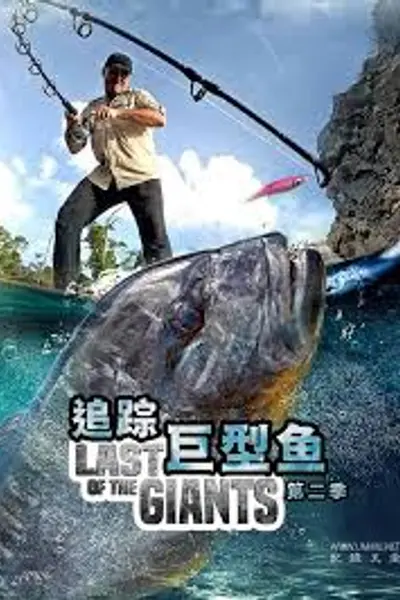 追踪巨型鱼