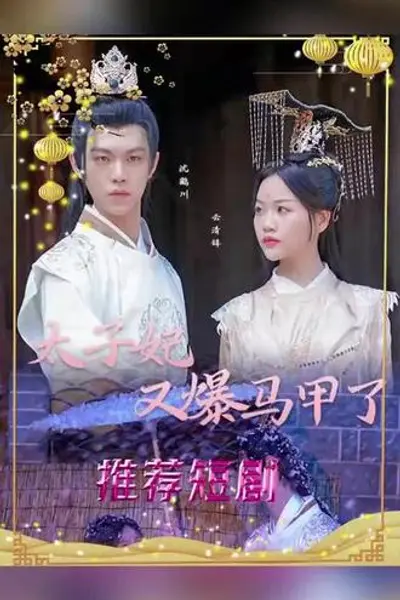 太子妃,你的马甲又掉了