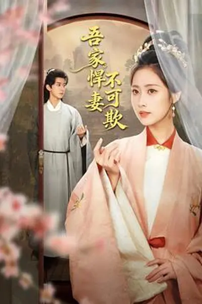 吾家悍妻不可欺