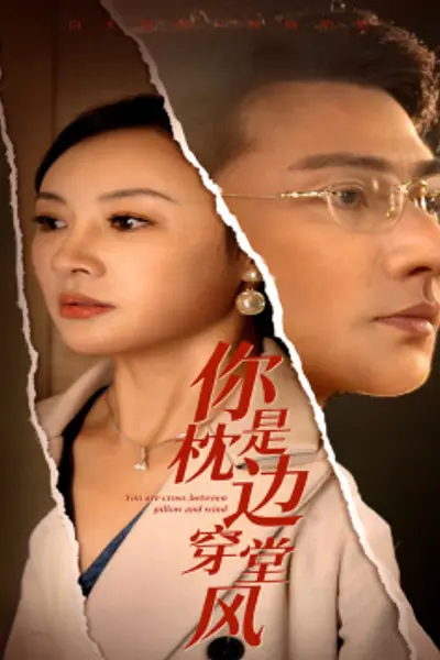 你是枕边穿堂风