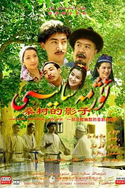 桑树的影子