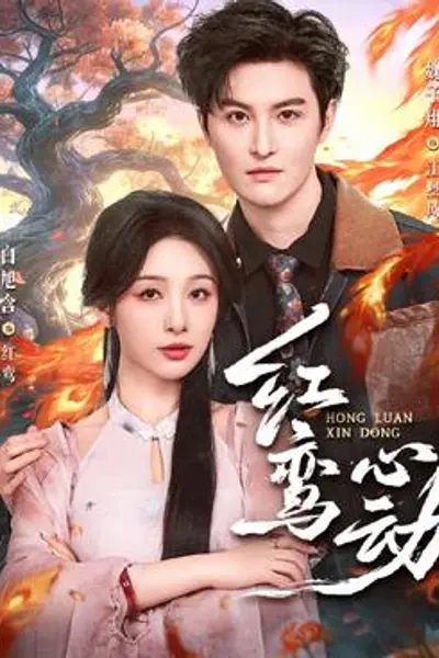 红鸾心动