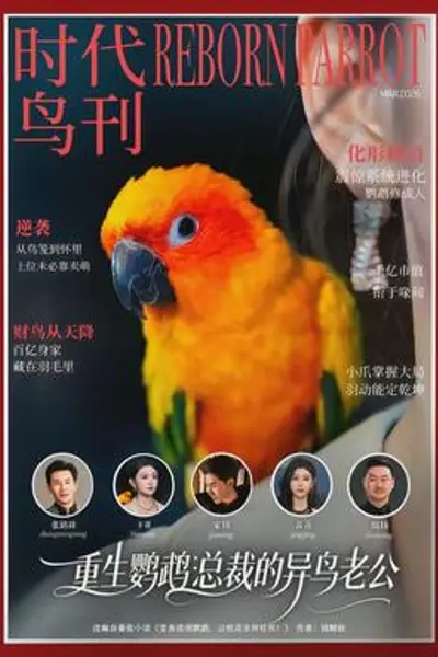 重生鹦鹉:总裁的异鸟老公