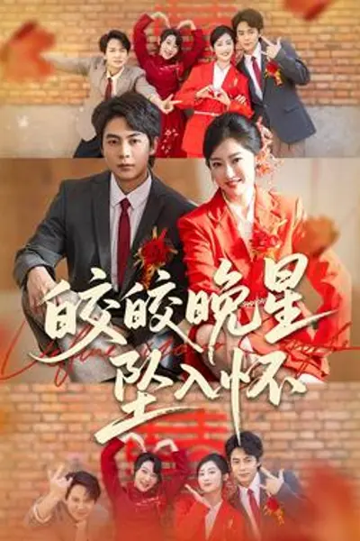 皎皎晚星坠入怀