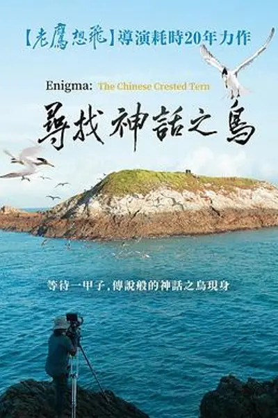 寻找神话之鸟