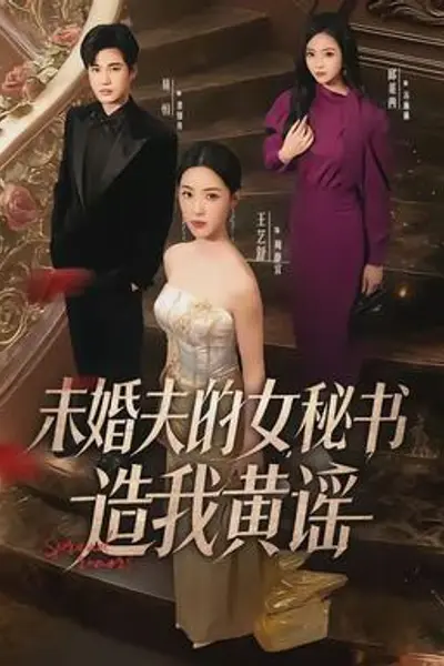 未婚夫的女秘书造我黄谣