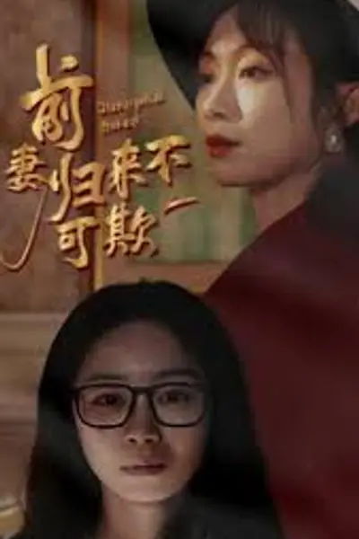 前妻归来不可欺