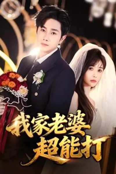 我家老婆超能打