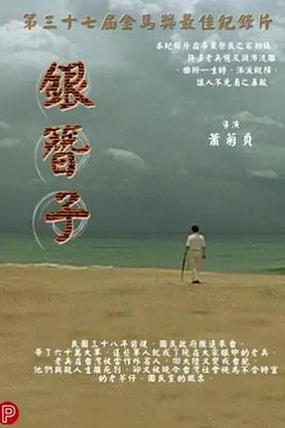 银簪子
