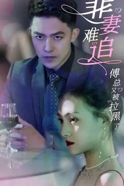 罪妻难追傅总又被拉黑了