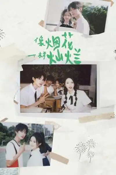 像烟花一样灿烂