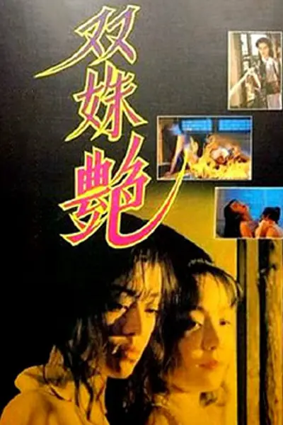 双姝艳