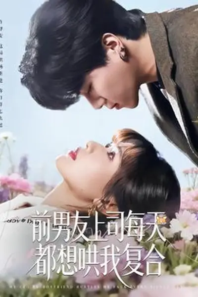 前男友上司每天都想哄我复合