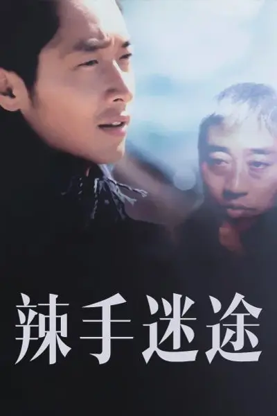 辣手迷途2001