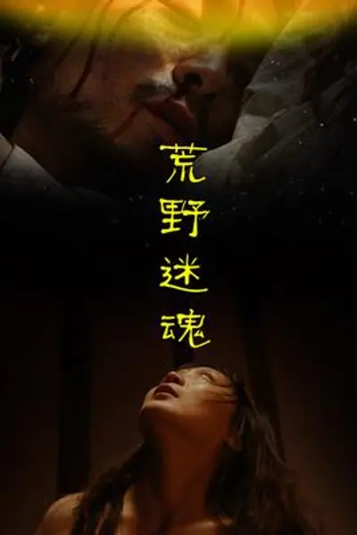 荒野迷魂