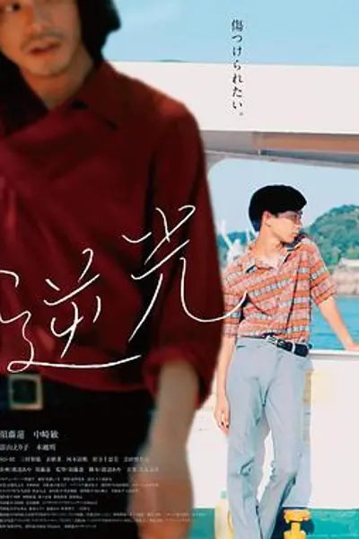 逆光2021