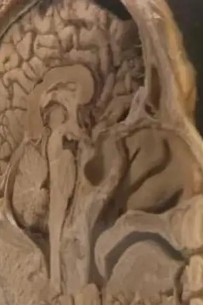 追踪人性之恶
