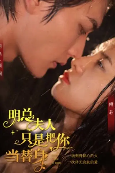 明总，夫人她只是把你当替身