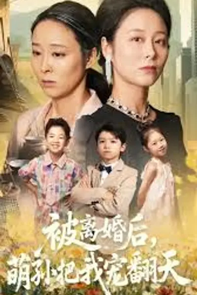 被离婚后萌孙把我宠翻天