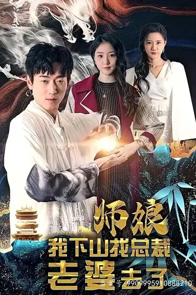 师娘，我下山找总裁老婆了