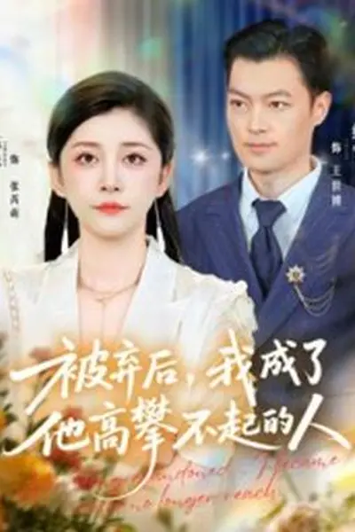 被弃后我成了他高攀不起的人