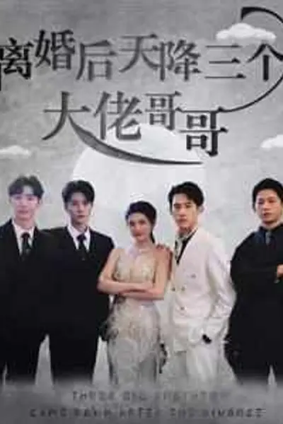 离婚后天降三个大佬哥哥